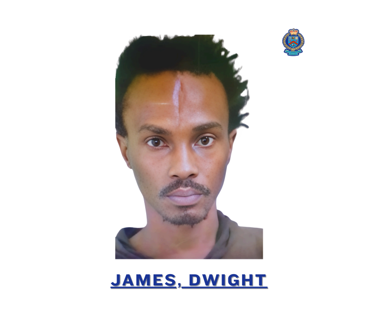 DWIGHT JAMES SENTENCED EIGHTEEN YEARS FOR MANSLAUGHTER