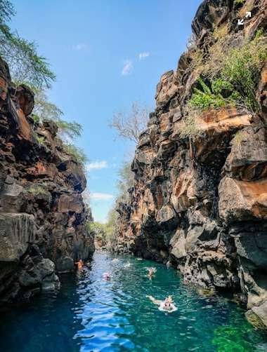 Too Much Tourism? Galapagos Choking On Own Success.